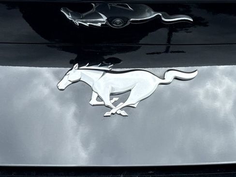Used 2025 Ford Mustang Convertible RWD image 36