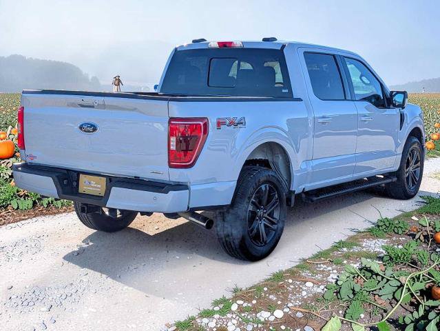 Certified 2021 Ford F150 XLT w/ Equipment Group 302A High AWD/4WD image 6
