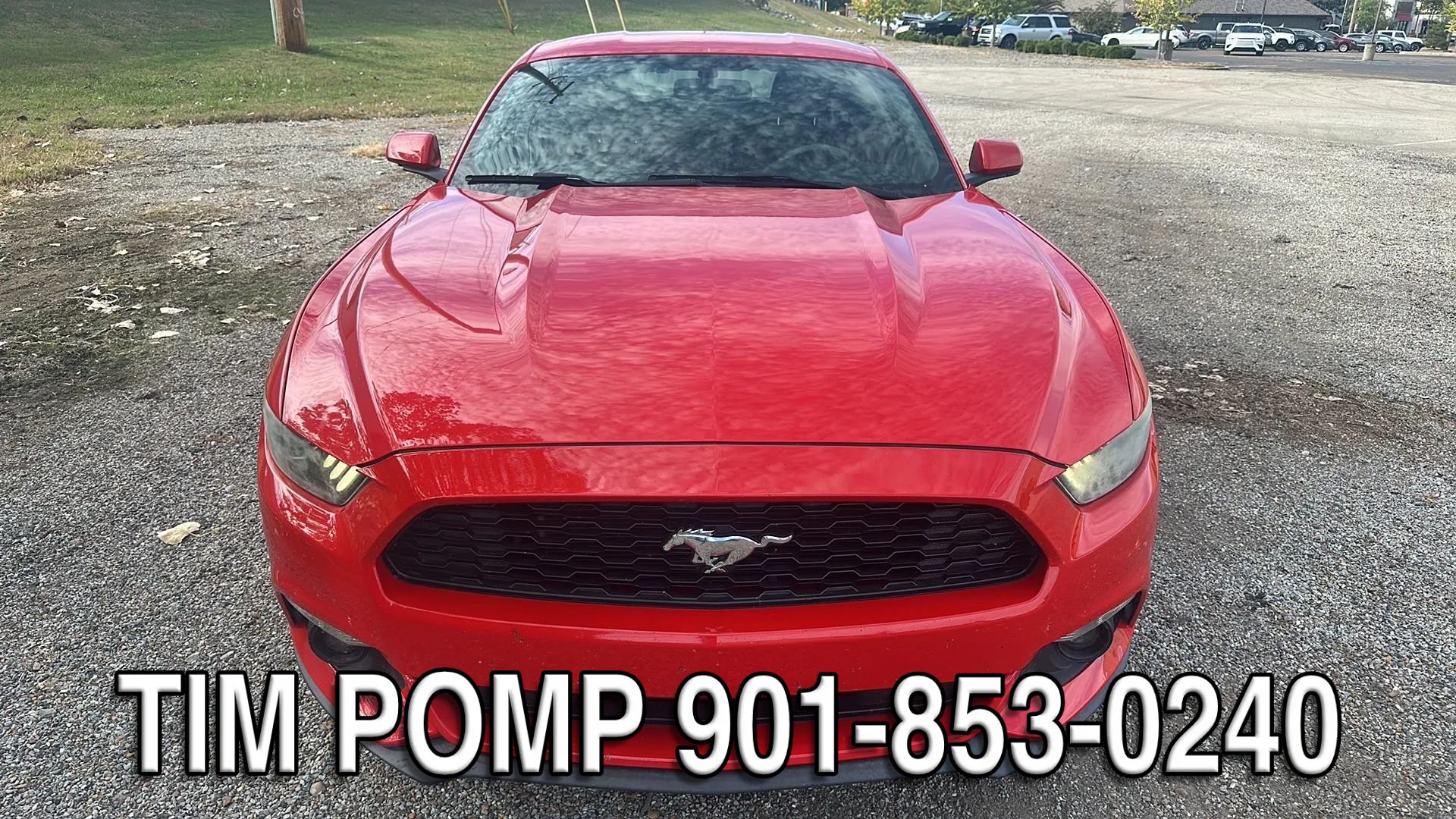 Used 2015 Ford Mustang Coupe w/ Equipment Group 051A RWD image 1