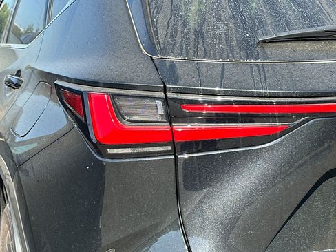 Used 2024 Lexus NX 350 AWD w/ Cold Area Package image 15