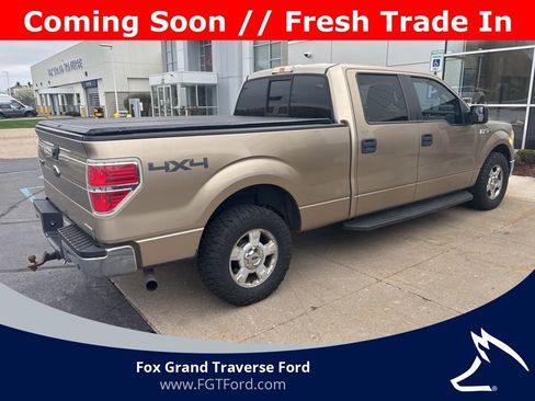 Used 2014 Ford F150 XLT w/ XLT Convenience Package AWD/4WD image 1