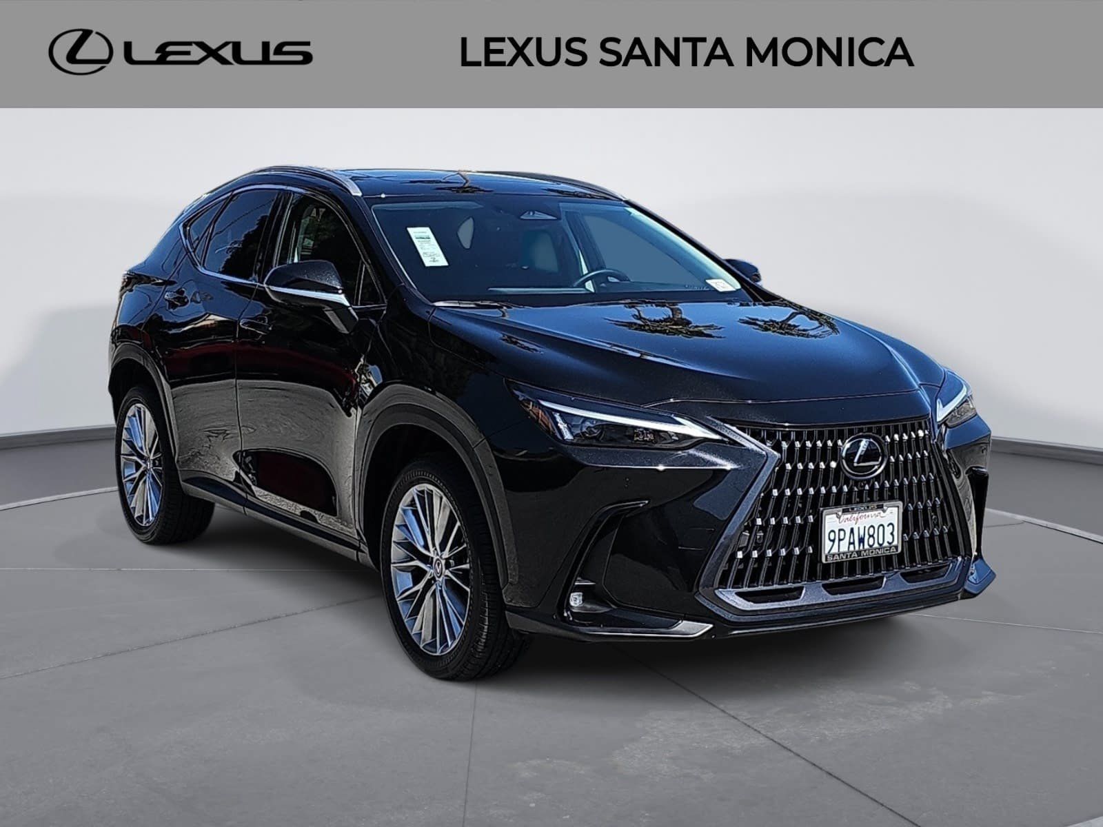 Used 2025 Lexus NX 350 AWD w/ Cold Area Package image 3