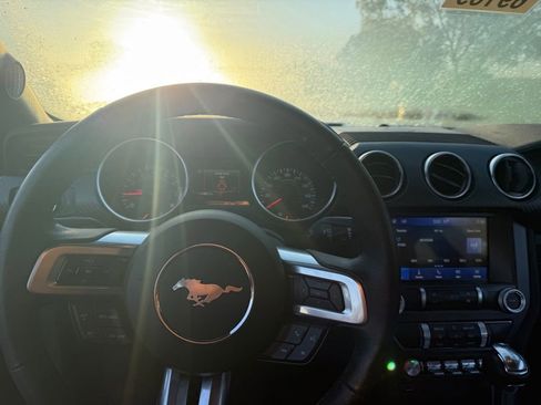 Used 2023 Ford Mustang Coupe w/ Equipment Group 101A RWD image 5