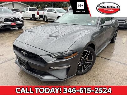 Used 2019 Ford Mustang Premium