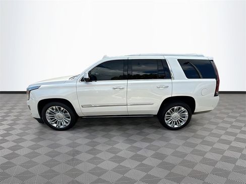 Used 2019 Cadillac Escalade Platinum image 5