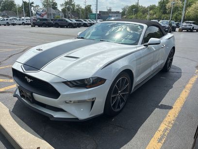 Used 2019 Ford Mustang Premium w/ Equipment Group 201A