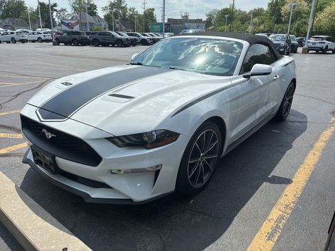 Used 2019 Ford Mustang Premium w/ Equipment Group 201A RWD image 1