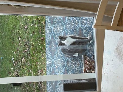 Used 2020 Kia Telluride S image 15