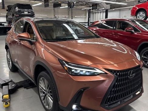 Used 2025 Lexus NX 350h AWD w/ Cold Area Package image 3