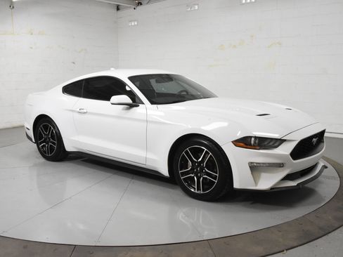 Used 2021 Ford Mustang Coupe w/ Equipment Group 101A RWD image 1