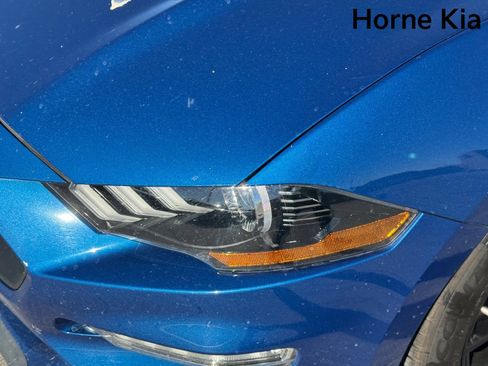 Used 2022 Ford Mustang Premium w/ Equipment Group 201A image 5