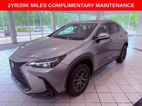 Certified 2025 Lexus NX 250 FWD w/ Cold Area Package image 3