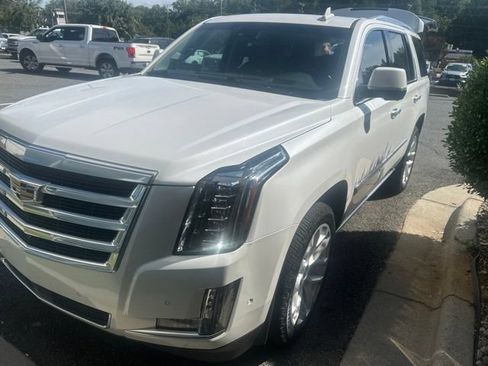 Used 2019 Cadillac Escalade Premium Luxury AWD/4WD image 1