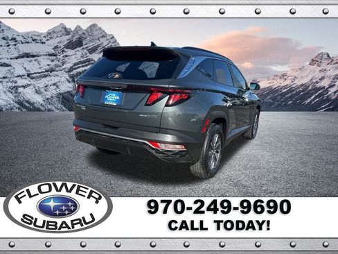 Used 2024 Hyundai Tucson Blue image 7