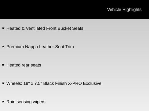 Used 2024 Kia Telluride SX Prestige X-Pro image 6