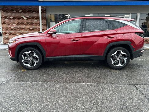 Certified 2024 Hyundai Tucson Limited image 2
