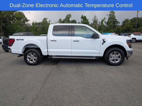 Used 2025 Ford F150 XLT w/ Equipment Group 301A Standard AWD/4WD image 3