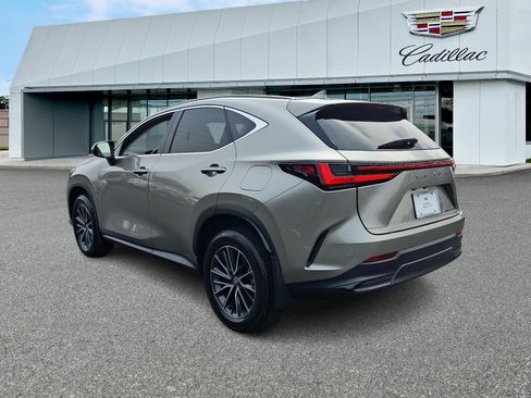 Used 2024 Lexus NX 350 AWD w/ Cold Area Package image 4