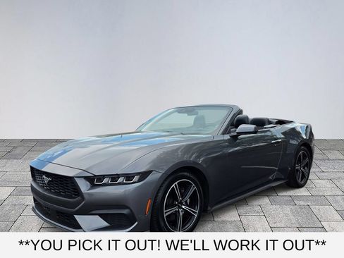 Used 2024 Ford Mustang Premium RWD image 3