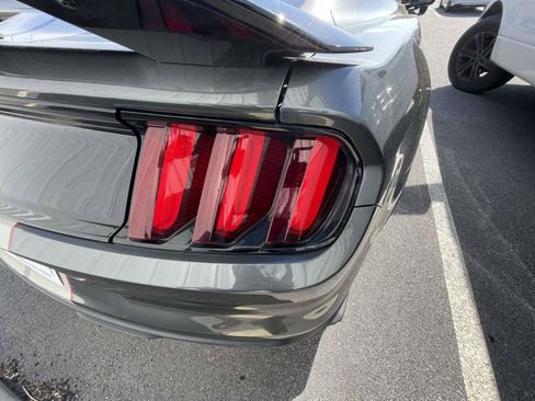 Used 2019 Ford Mustang Shelby GT350 w/ Technology Package RWD image 11