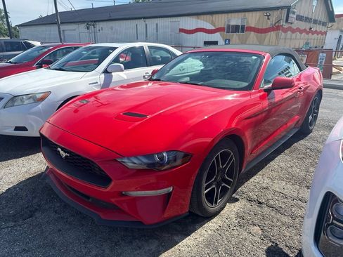 Used 2019 Ford Mustang Convertible RWD image 1