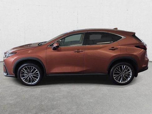New 2026 Lexus NX 350 350 Premium w/ Accessory Package (2T) image 8