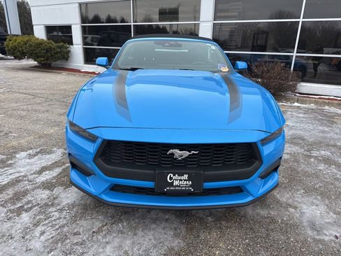 Used 2025 Ford Mustang Premium w/ Wheel & Stripe Package image 5