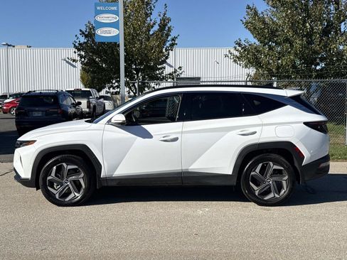 Certified 2024 Hyundai Tucson Limited image 10