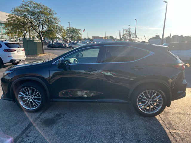 Used 2025 Lexus NX 350 AWD w/ Cold Area Package image 6