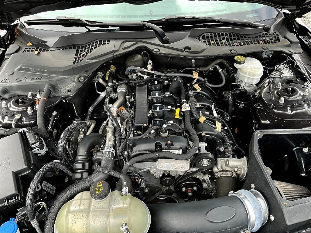 Used 2023 Ford Mustang Coupe w/ Equipment Group 101A RWD image 30