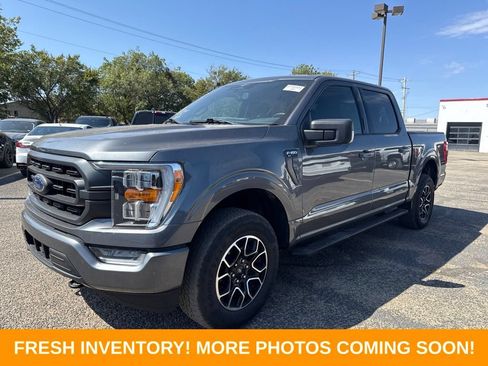 Used 2023 Ford F150 XLT w/ Equipment Group 302A High AWD/4WD image 5