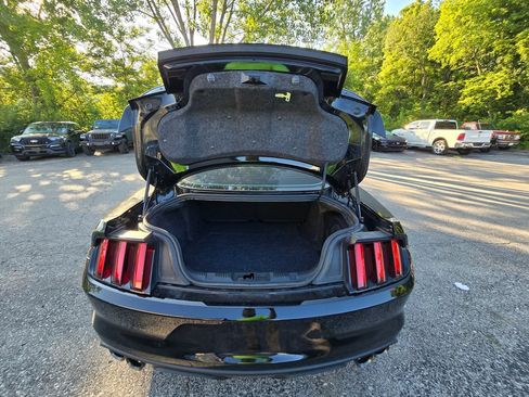 Used 2019 Ford Mustang Shelby GT350 w/ Technology Package RWD image 19