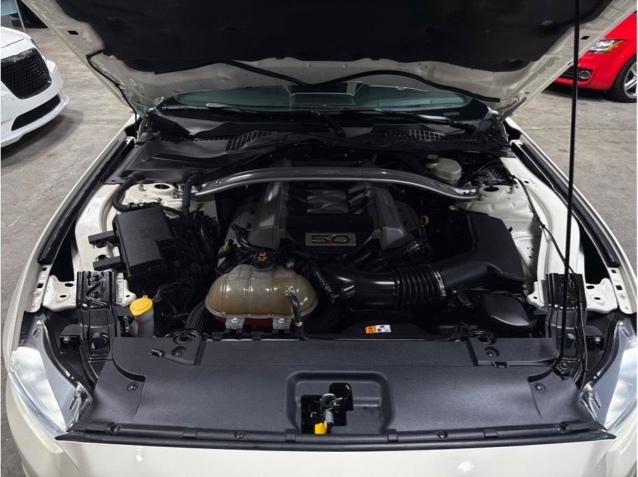 Used 2015 Ford Mustang 50 Years RWD image 15