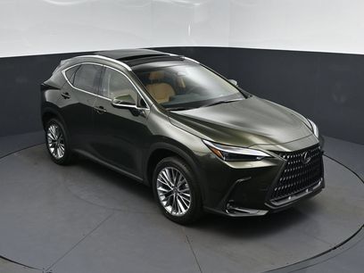 New 2026 Lexus NX 350 AWD w/ Luxury Package