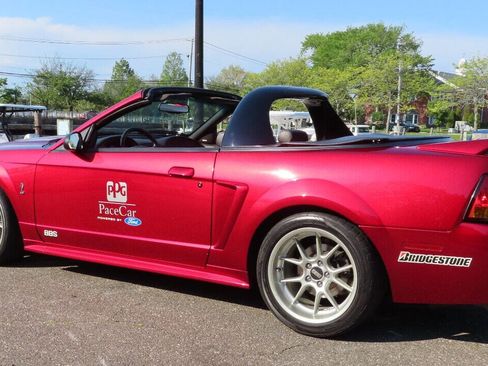 Used 1999 Ford Mustang Cobra RWD image 14