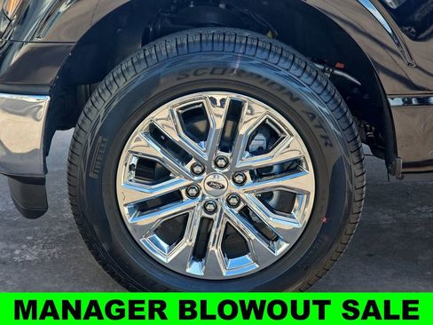 New 2025 Ford F150 XLT w/ Equipment Group 303A High AWD/4WD image 37
