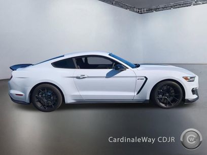 Used 2016 Ford Mustang Shelby GT350 w/ Track Package