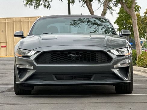 Used 2019 Ford Mustang Coupe w/ Equipment Group 101A RWD image 10