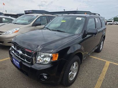 Used 2010 Ford Escape XLT