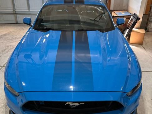 Used 2017 Ford Mustang Premium w/ Enhanced Security Package image 1