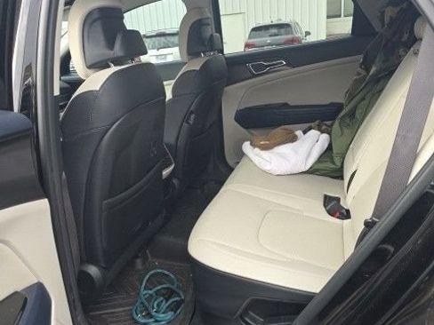 Used 2023 Kia Sportage EX AWD/4WD image 5