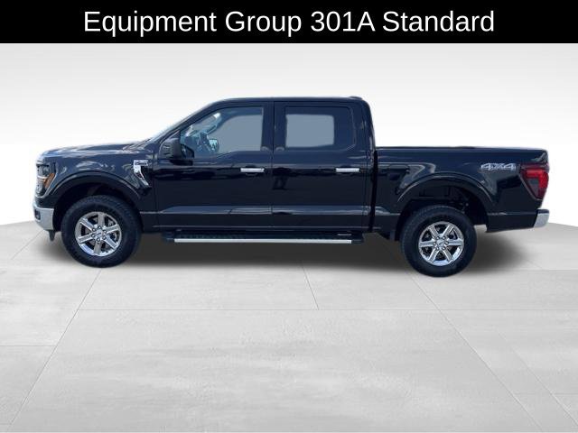 Used 2025 Ford F150 XLT w/ Equipment Group 301A Standard AWD/4WD image 2