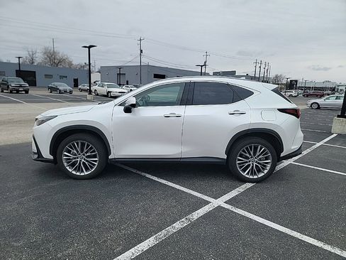 Used 2025 Lexus NX 350 AWD w/ Cold Area Package image 2