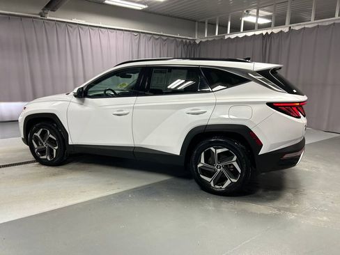 Used 2023 Hyundai Tucson Limited image 4