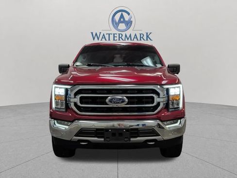 Used 2021 Ford F150 XLT w/ Equipment Group 302A High AWD/4WD image 11