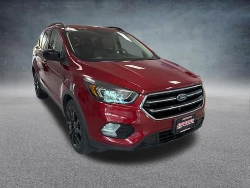 Used 2019 Ford Escape SE AWD/4WD image 4