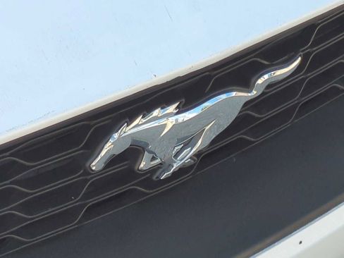 Used 2019 Ford Mustang Coupe RWD image 29
