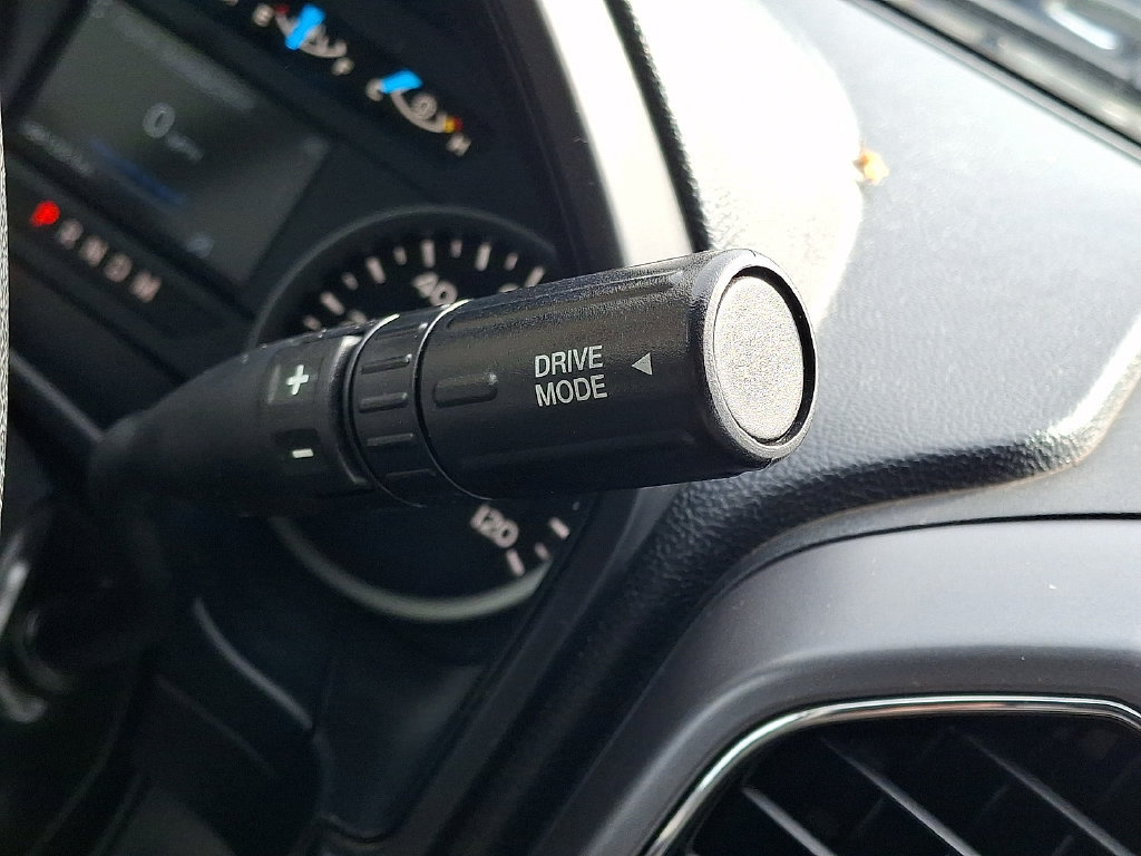Used 2019 Ford F150 XLT w/ Equipment Group 302A Luxury AWD/4WD image 15