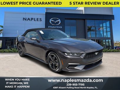 Used 2024 Ford Mustang Premium