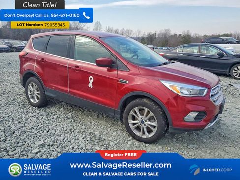 Used 2019 Ford Escape SE AWD/4WD image 5